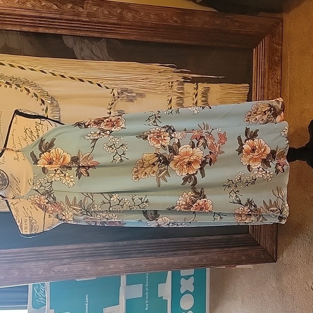 Fully lined Charlotte Russe dress